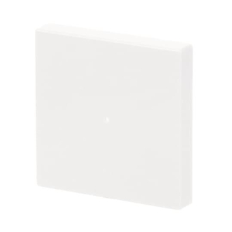 BJ Wippe 1-fach               6230-10-84 