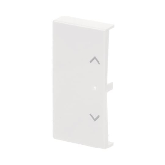 BJ Wippe links 2-fach Symbol  6232-20-84 