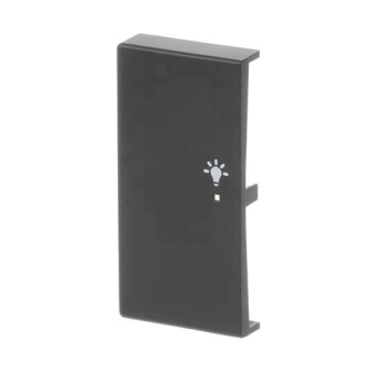 BJ Wippe/L 2f Licht schwarz  6231-21-885 