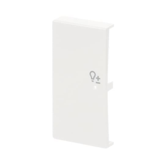 BJ Wippe links 2-fach Symbol  6234-21-84 