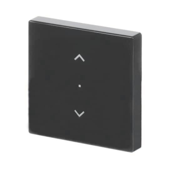 BJ Wippe 1-fach,Symbol        6232-10-81 