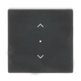 BJ Wippe 1-fach,Symbol        6232-10-81 
