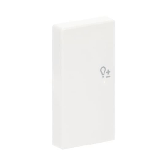 BJ Wippe links 2-fach Symbol  6234-21-84 