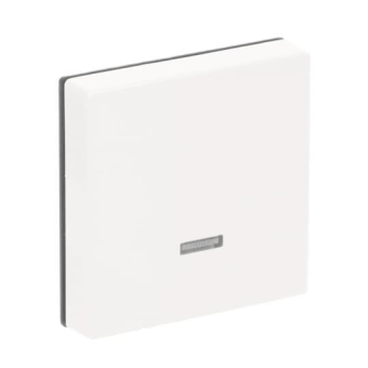 BJ carat Dimmer-Tastfläche   6543-84-101 