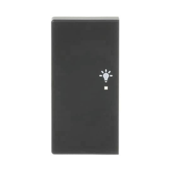 BJ Wippe/L 2f Licht schwarz  6231-21-885 