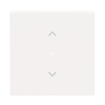 BJ Wippe 1-fach Symbol        6232-10-84 