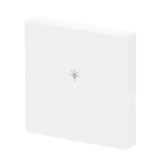 BJ Wippe 1-fach Symbol Licht  6231-10-84 