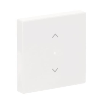 BJ Wippe 1-fach Symbol        6232-10-84 