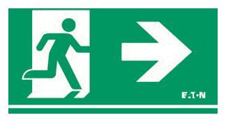 CEAG LED-Piktogrammscheibe   40071354506 