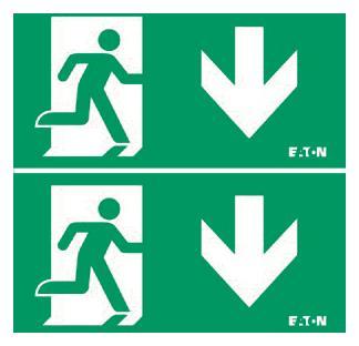 CEAG LED-Piktogrammscheibe   40071354534 