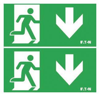 CEAG LED-Piktogrammscheibe   40071354534 