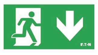 CEAG LED-Piktogrammscheibe   40071354502 