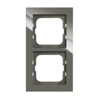 BJ axcent Rahmen 2-fach         1722-295 