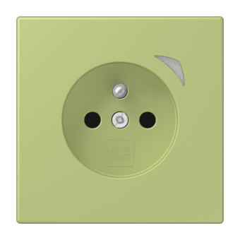 Jung JUNG HOME       BT LC 1521 F SE 221 