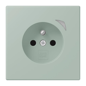 Jung JUNG HOME        BT LC 1521 F S 217 