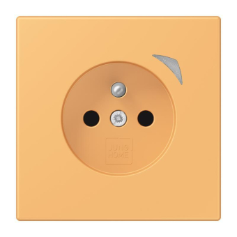 Jung JUNG HOME        BT LC 1521 F S 254 