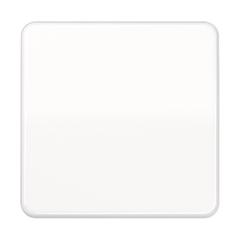 JG Abdeckplatte o. Tragrin   CD594-0PLWW 