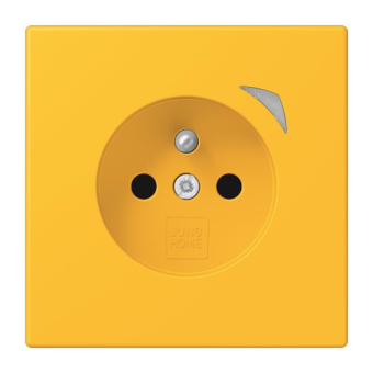 Jung JUNG HOME       BT LC 1521 F SE 263 