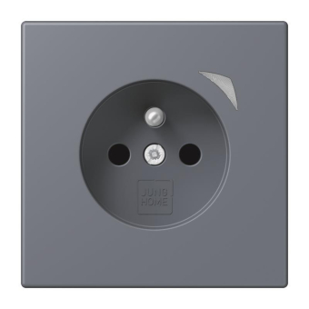 Jung JUNG HOME        BT LC 1521 F S 262 