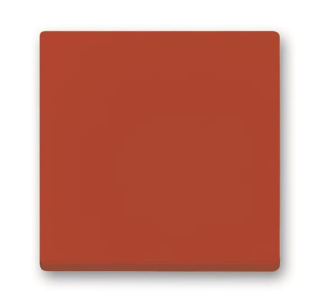 BJ Wippe Busch-balance SI       2506-917 