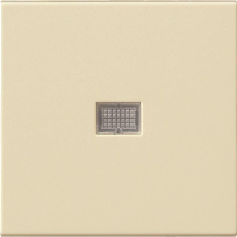 GIRA 029801 Wippe Kontrollfenster groß 