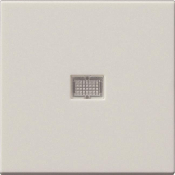 GIRA 029827 Wippe Kontrollfenster groß 