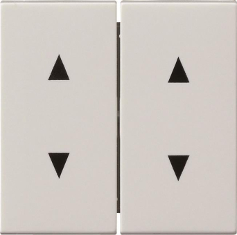 GIRA 115003 Wippe 2fach Pfeile 