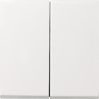 GIRA 029503 Wippe 2fach System 55 