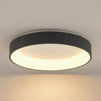 Brumberg                        57428183 