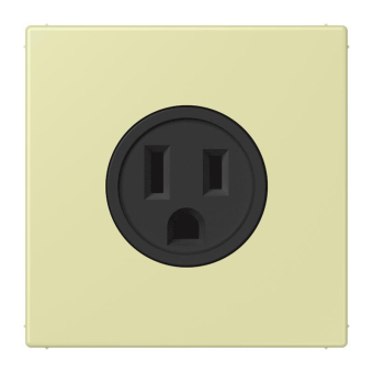 Jung Steckdose US-Norm NEMA  LC521-15222 
