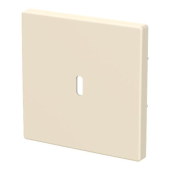 BJ Zentralscheibe USB C Power    6479-82 