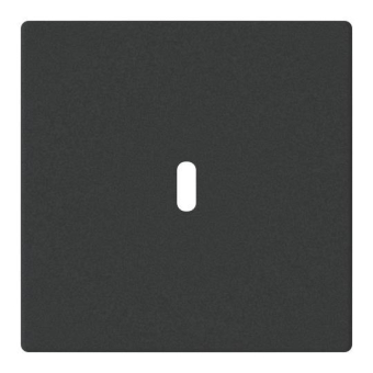 BJ Zentralscheibe USB C Power   6479-885 