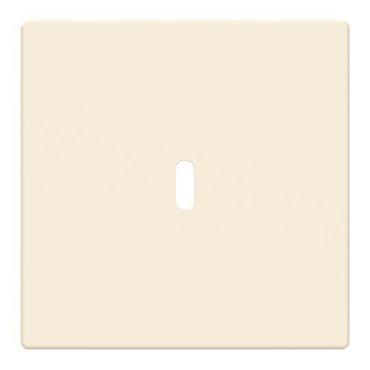 BJ Zentralscheibe USB C Power    6479-82 