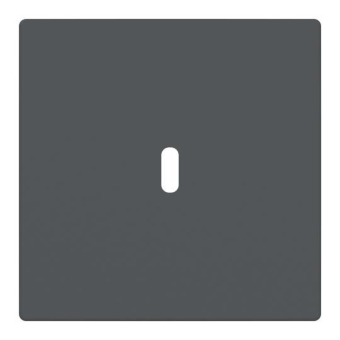 BJ Zentralscheibe USB C Power    6479-81 