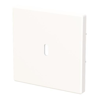 BJ Zentralscheibe USB C Power    6479-84 