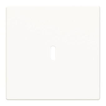 BJ Zentralscheibe USB C Power    6479-84 