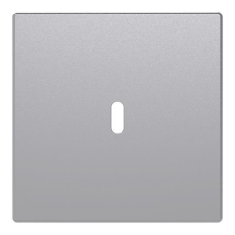 BJ Zentralscheibe USB C Power    6479-83 