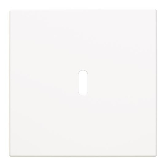 BJ Zentralscheibe USB C Power   6479-914 