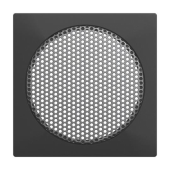 BJ Zentralscheibe Lautsprecher  8253-915 