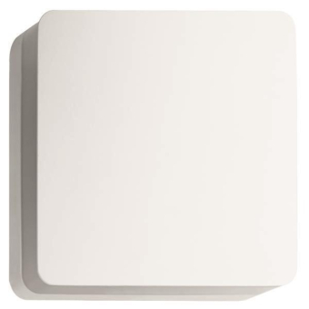 BRUM LED-Wandaufbaul.IP54       10034173 