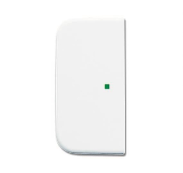 BJ Wippe 2-fach Symbol Licht 6230-20-214 