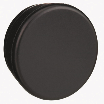 GS Blindstopfen                  ZB6Y005 