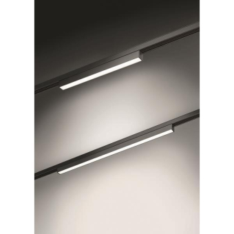 Brumberg PEPA LINEAR            43101083 