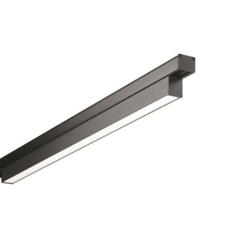 Brumberg PEPA LINEAR            43101083 