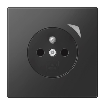 Jung JUNG HOME        BT LS 1521 F S SWM 