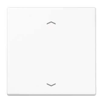 Jung Wippe f.Taster F10       SPLS101PWW 