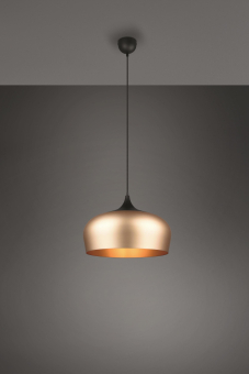 Trio Pendelleuchte             310890108 