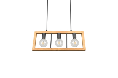 Trio Pendelleuchte AGRA 3x E27 313800332 
