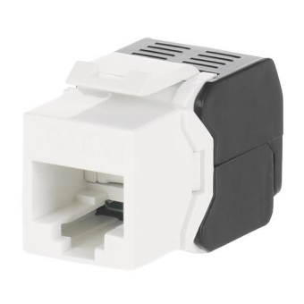 STRIE Buchse RJ45 Kunststoff       ZE311 
