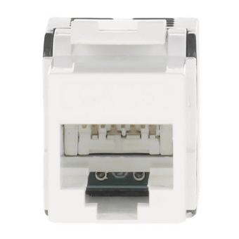 STRIE Buchse RJ45 Kunststoff       ZE311 